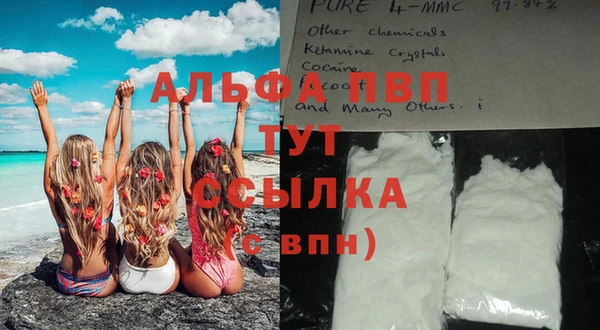 стаф Абаза