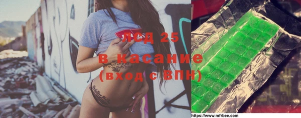 стаф Абаза
