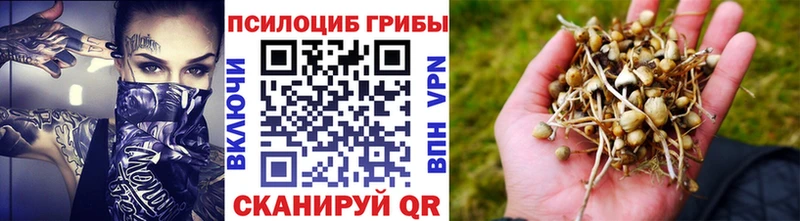 Псилоцибиновые грибы мицелий  Комсомольск-на-Амуре 