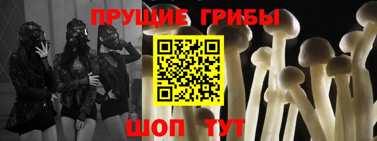 Псилоцибиновые грибы мицелий  Галлюциногенные грибы Magic Shrooms  Вход с VPN  Комсомольск-на-Амуре 
